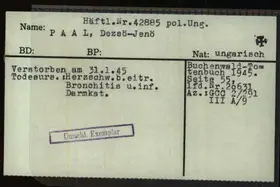 Archivdokument 001-284.jpg zu Dezsö Jenö Paal