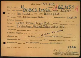 Archivdokument 001-362.jpg zu Istvan Dobos