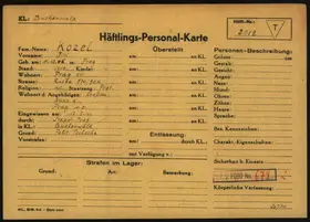 Archivdokument 001-42.jpg zu Jiri Kozel