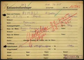 Archivdokument 001-453.jpg zu Alfredo Rimoli