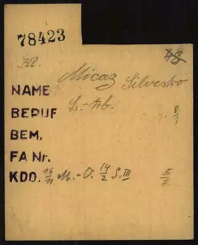 Archivdokument 001-517.jpg zu Silvestro Micaz