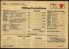 Archivdokument 001-524.jpg zu Leopoldo Belussi